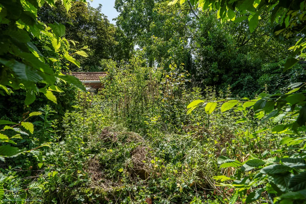 Garden - Characterful Two-Storey House with Garden in Reuver
