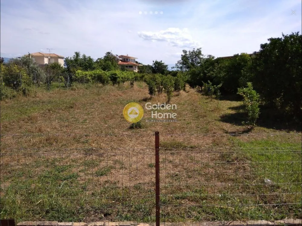 Jardin - Terrain à GR
