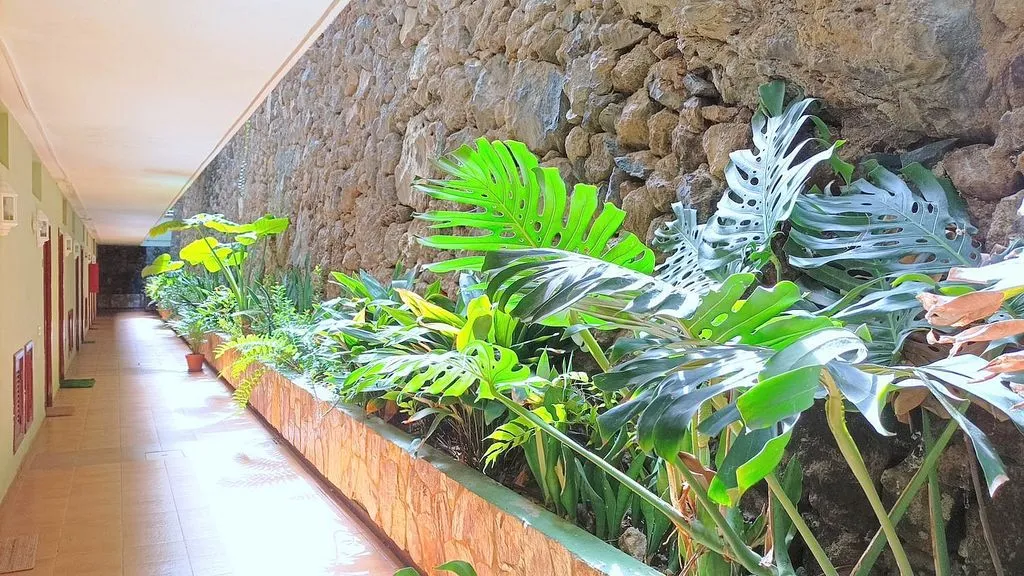 Garden - Studio with Terrace in San Antonio - Las Arenas