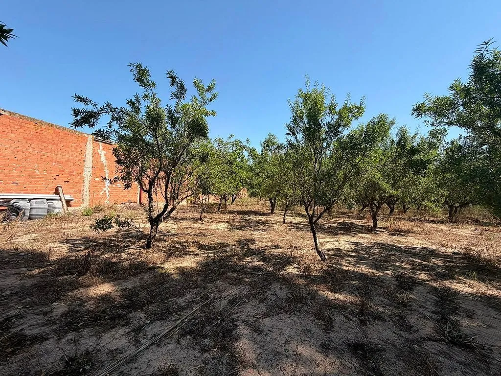 Aed - Rustic House with Pool near Belchite
