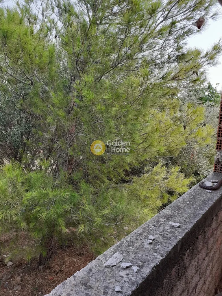 Jardín - Semi-Finished Villa with Garden in Rafina Centre