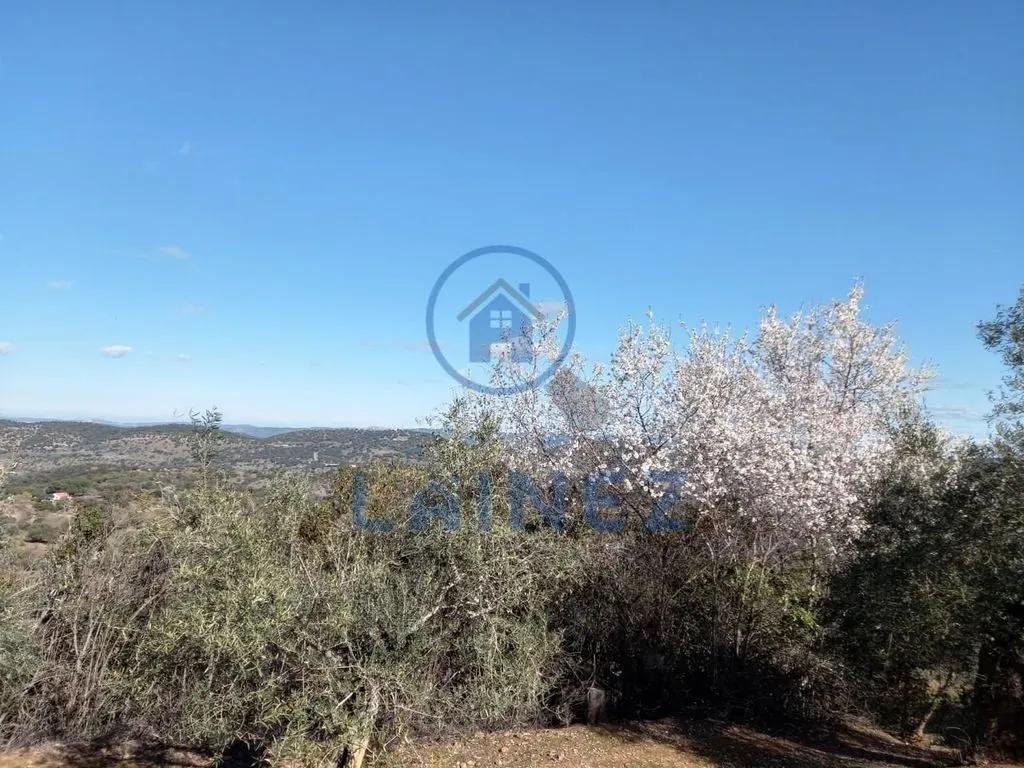 Jardin - Country House with Mountain Views in Villanueva del Rey
