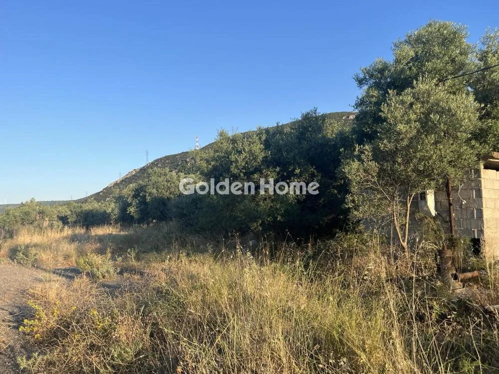 Giardino - Commercial Plot with Olive Trees in Traganá