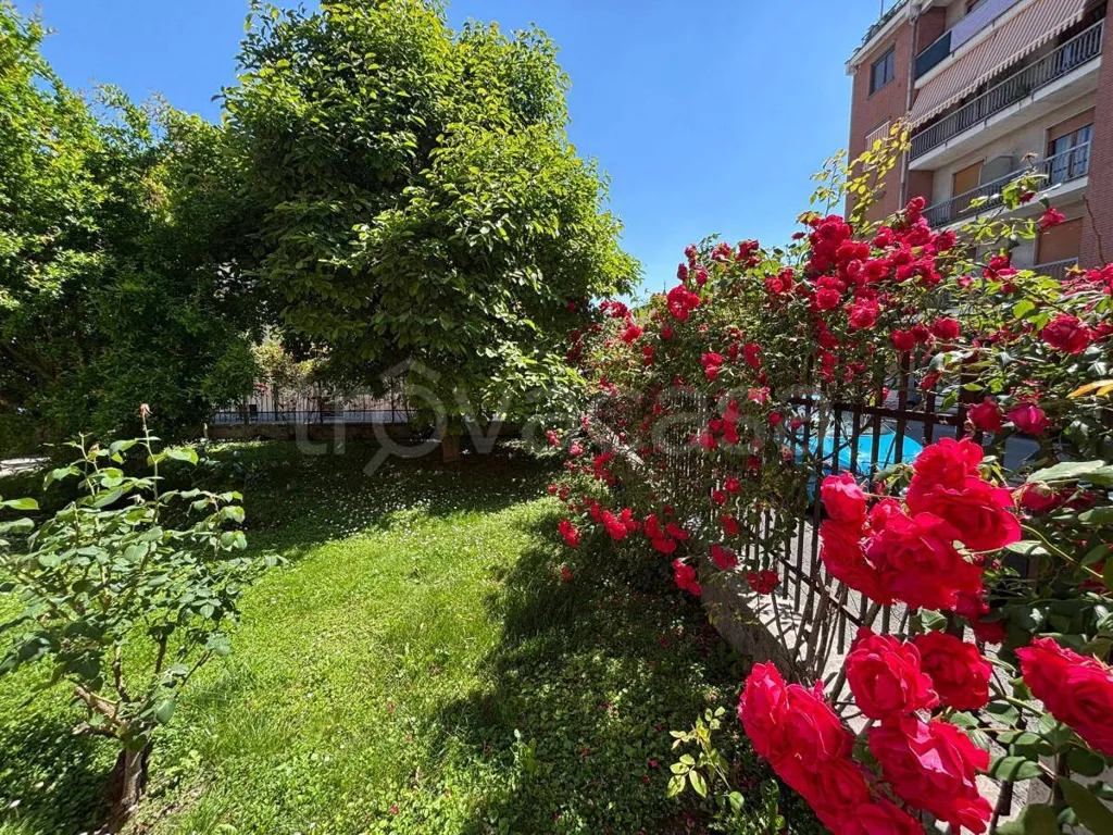 Jardin - Apartment with Balcony in Savigliano Centre