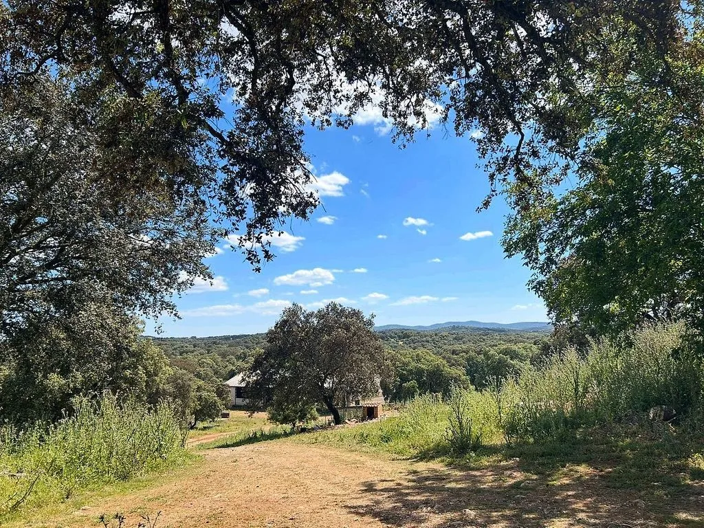 Aed - Rustic Cortijo with Pool in Alanís