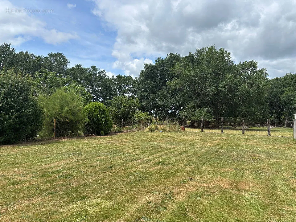 Jardin - Terrain à Saint-Andre-De-Cubzac