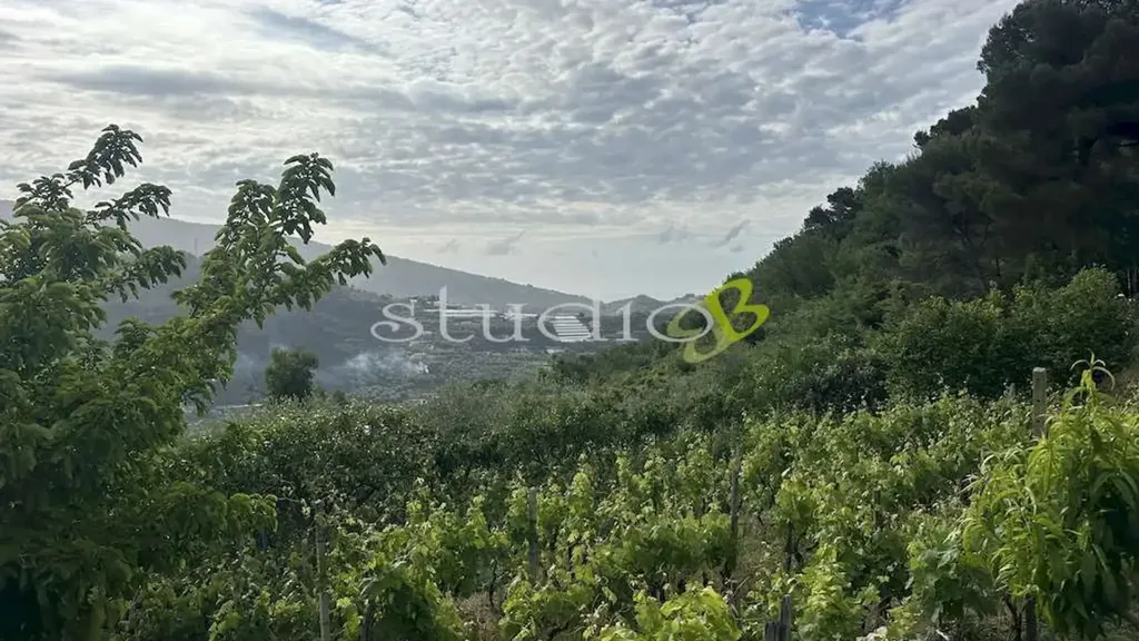 Garden - Rustic House with Vineyard in San Biagio della Cima