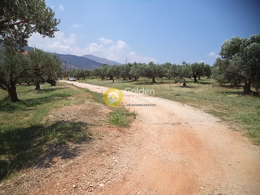 Aed - Plot with Mountain View in Akra, Sylibainiotika