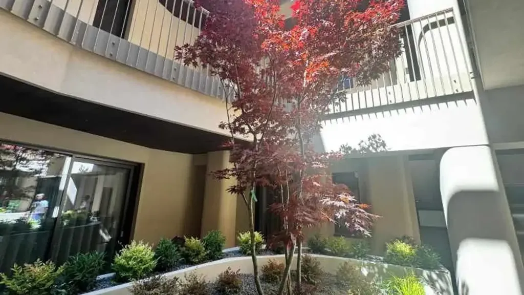 Aed - Open Space Apartment in Central Santarcangelo