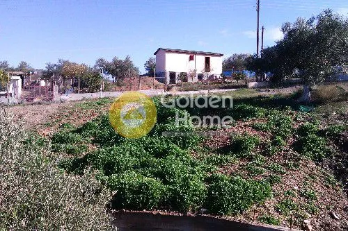 Jardin - Detached House with Garden in Ampelakia Centre