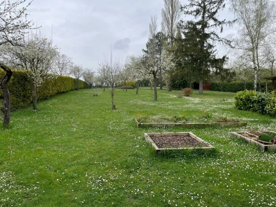 Jardin - Terrain à Bâtir avec Jardin à Orgeval