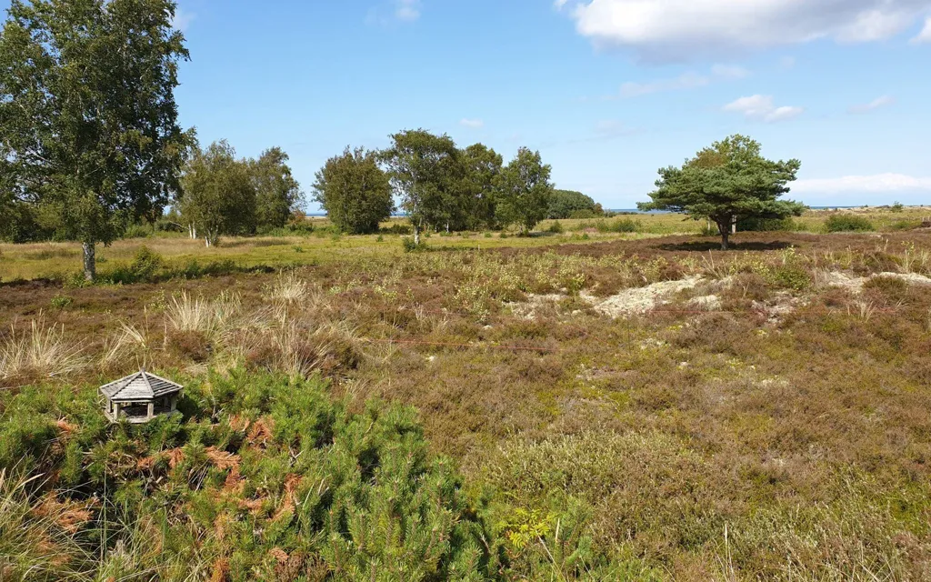 Terrain à Læsø