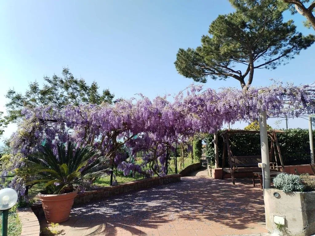 Välivaade - Luxury Villa with Sea View in Massa Lubrense