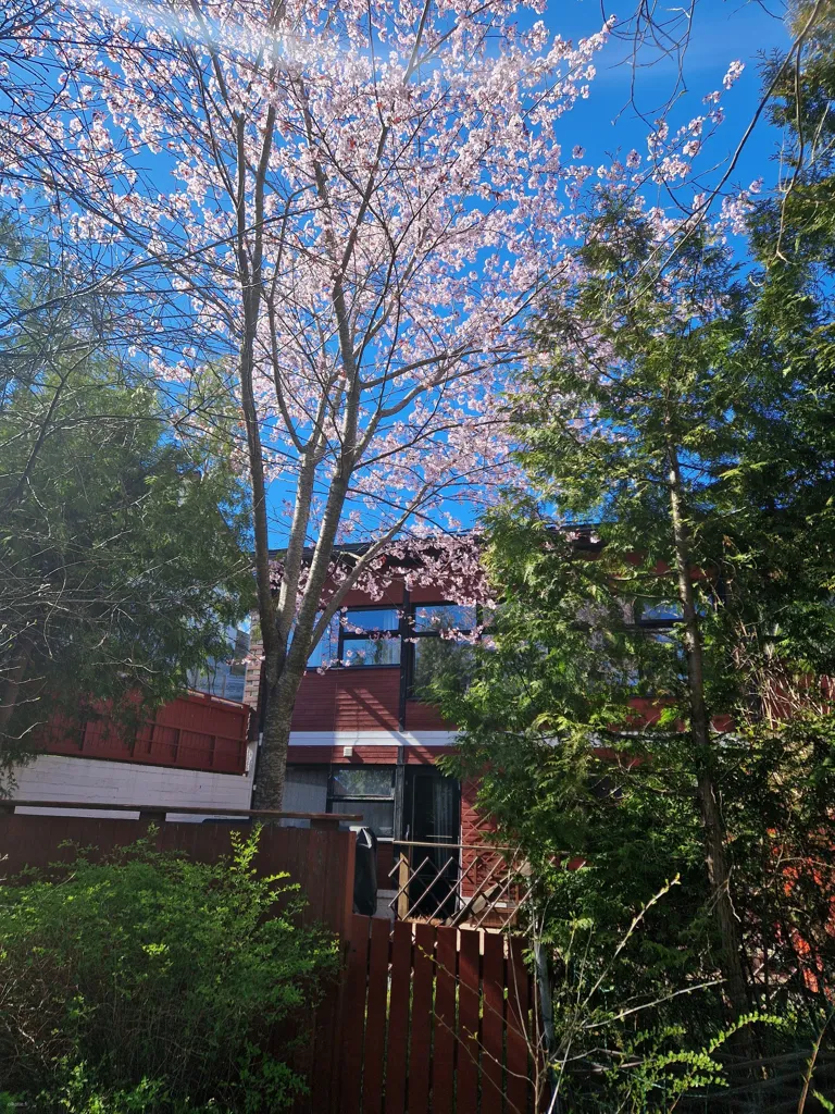 Maison 5 pièces à FI