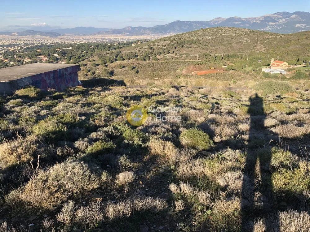 Agricultural Plot with Panoramic View in Nea Penteli