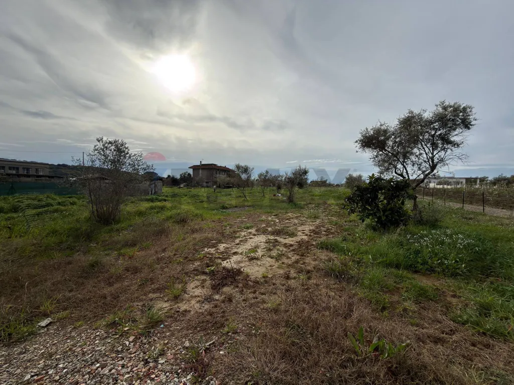 Jardin - Agricultural Land with Olive Trees in Formia