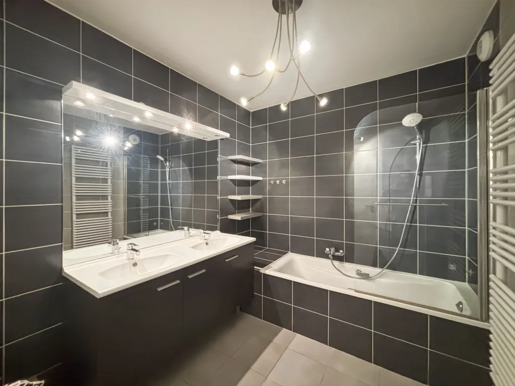 Bathrooms - Bright T4 Flat with Terrace in Ferney-Voltaire