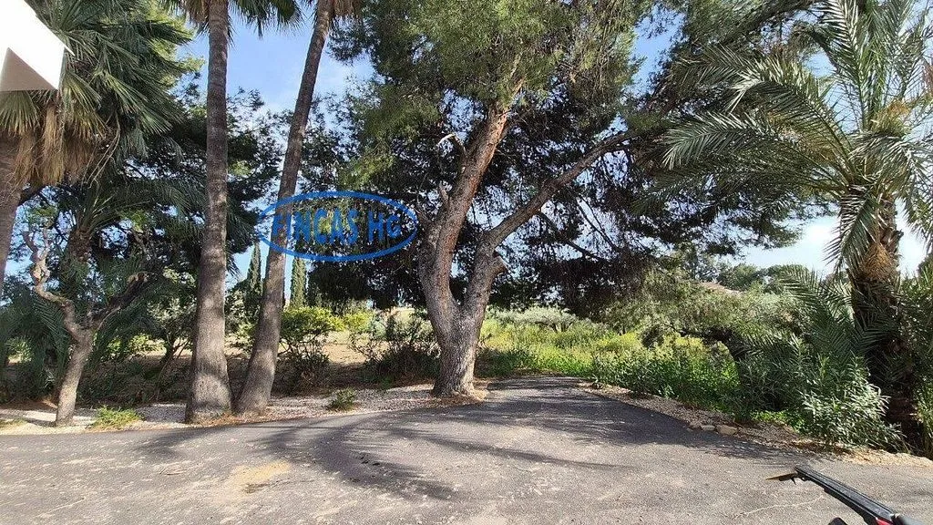 Extérieur - Estate with Pool and Garden in Mutxamel