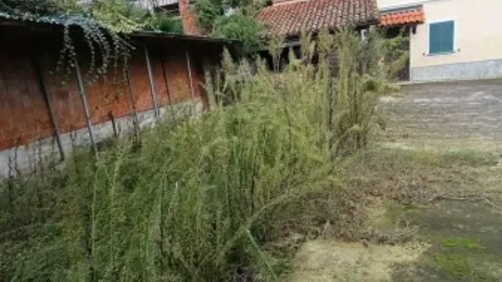 Aed - Casale with Private Garden in San Salvatore Monferrato