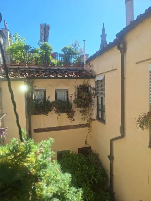 Aed - Luxury Apartment with Historic Features in Florence