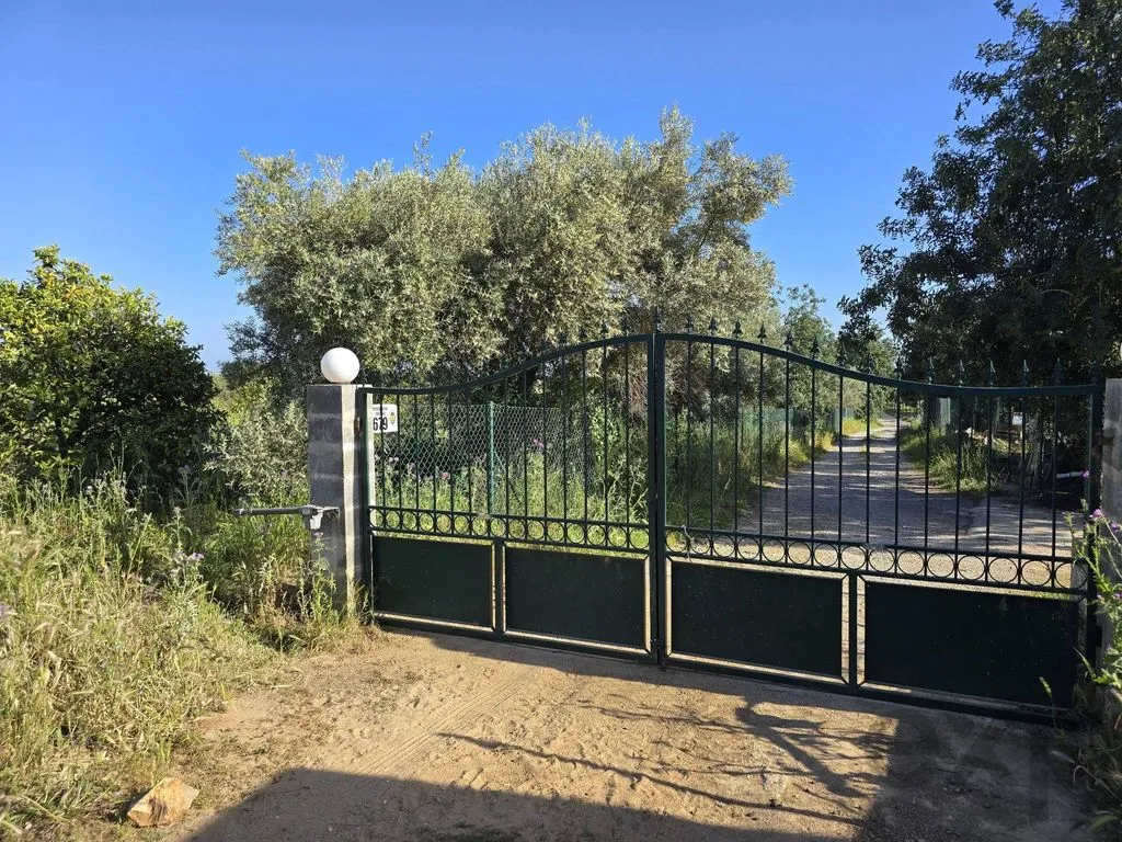 Extérieur - Farmhouse with Fruit Trees near Tavira