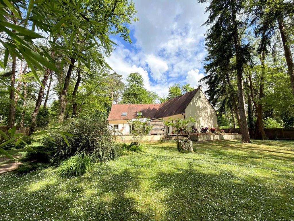 Jardin - Maison 8 pièces à Noisy-Sur-Ecole