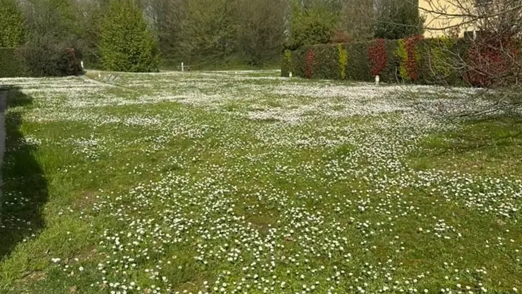 Giardino - Studio with Private Garden in Vimercate