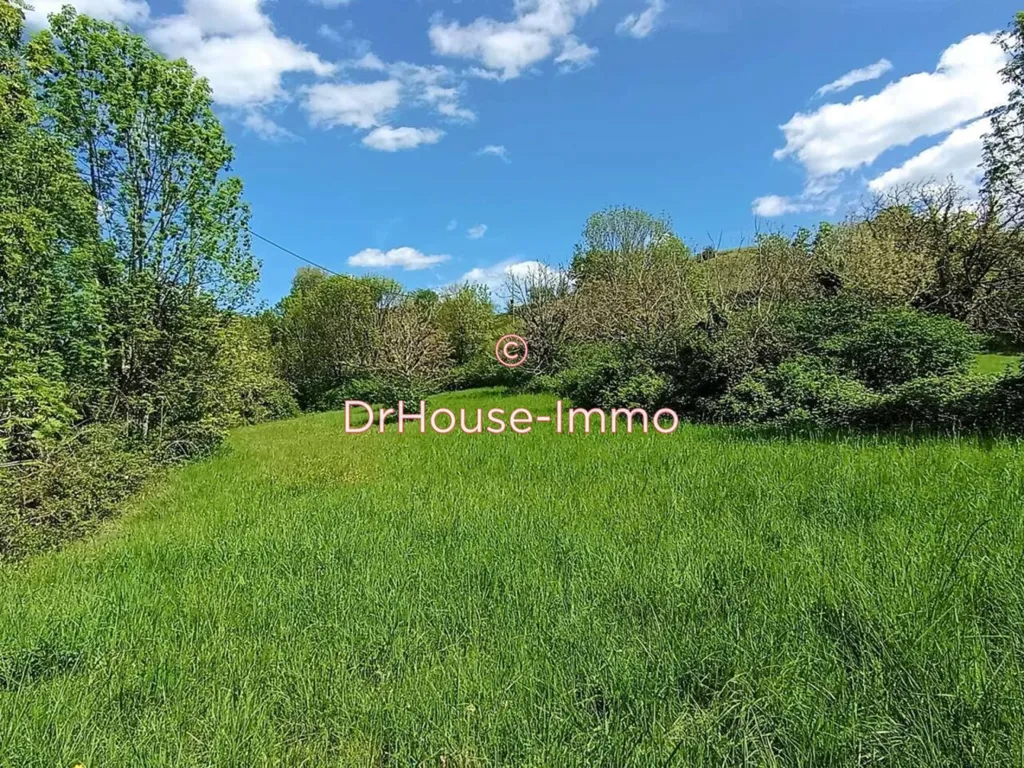 Jardin - Corps de Ferme avec Terrain à Segonzac