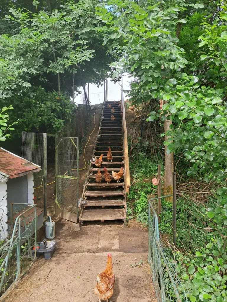 Pièces - Moulin Rénové avec Piscine et Terrain à la Campagne