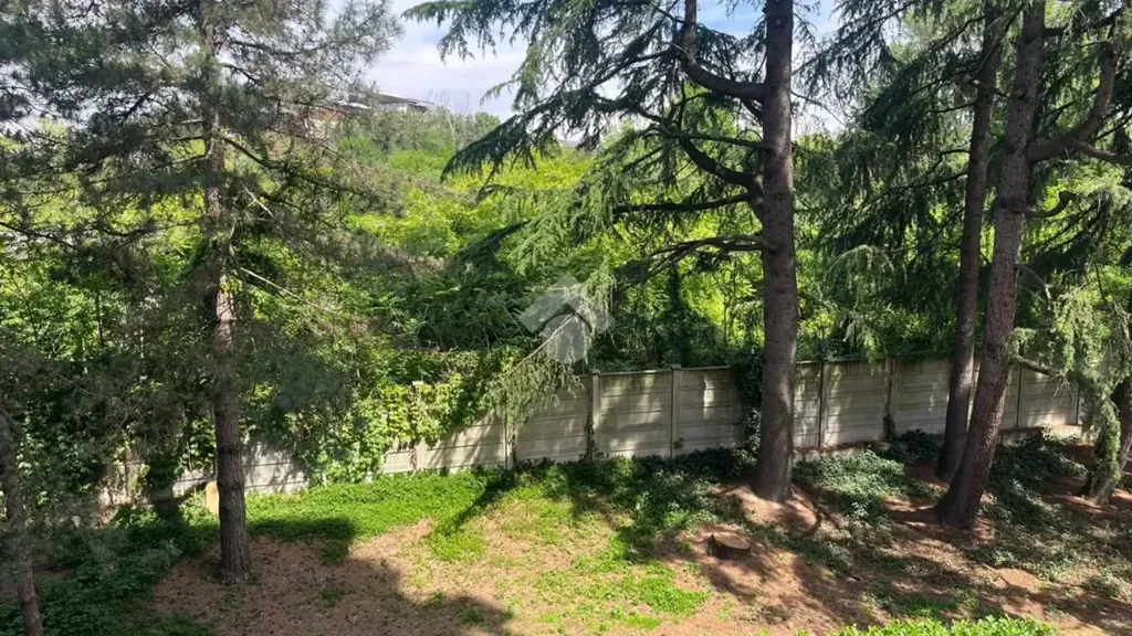 Jardin - Modernised Studio with Balcony in Sesto San Giovanni