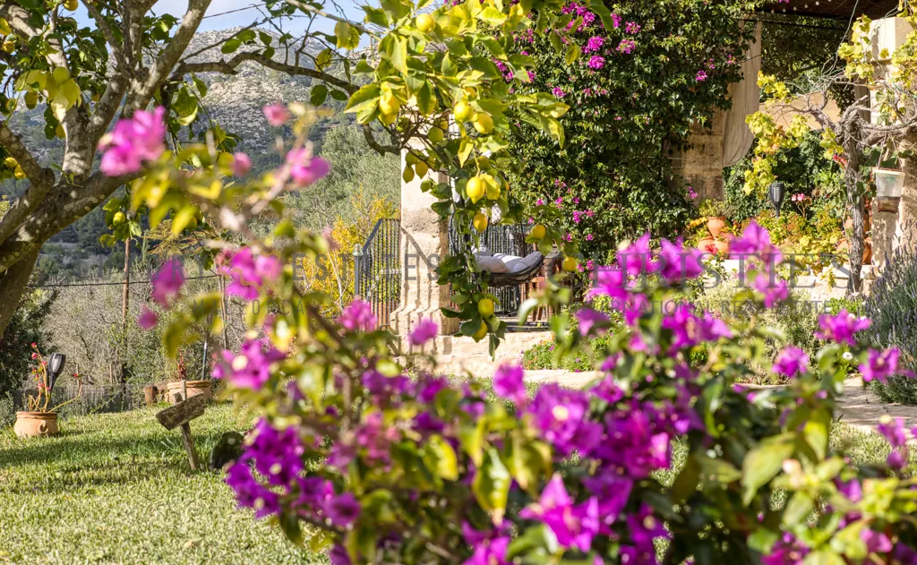 Jardin - Historic Finca with Pool in S'Arracó, Mallorca