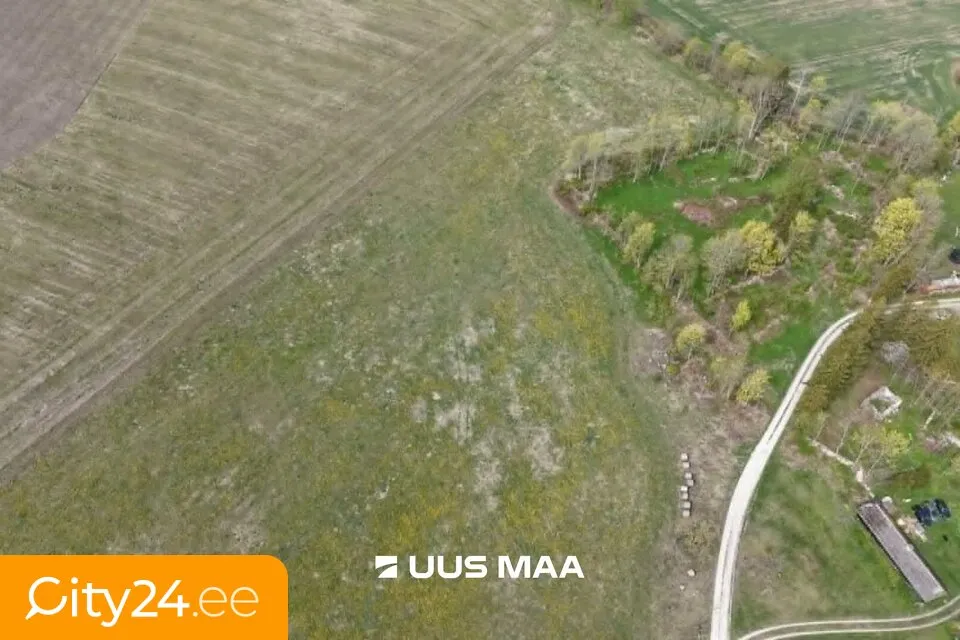 Terrain à Saaremaa vald