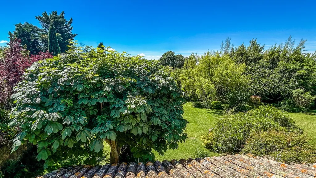 Jardin - Mas Rénové avec Piscine Chauffée près d'Uzès
