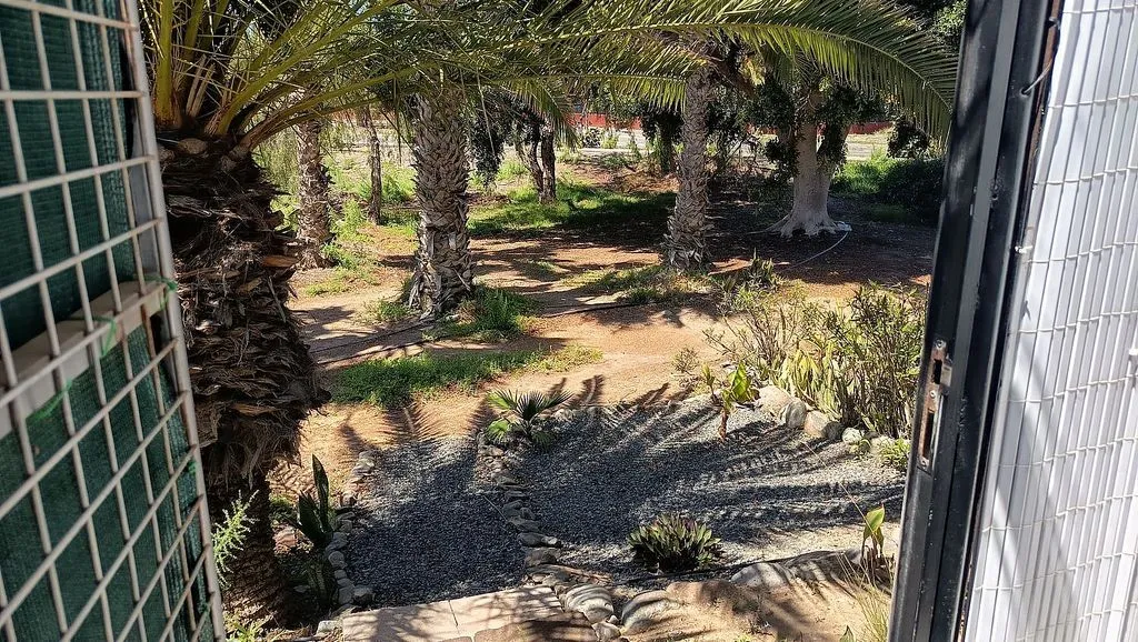 garden