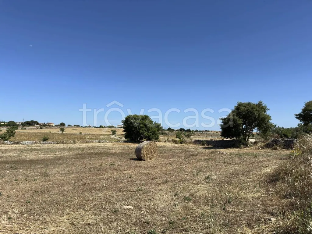 Garden - Historic Masseria with Pool near Ragusa