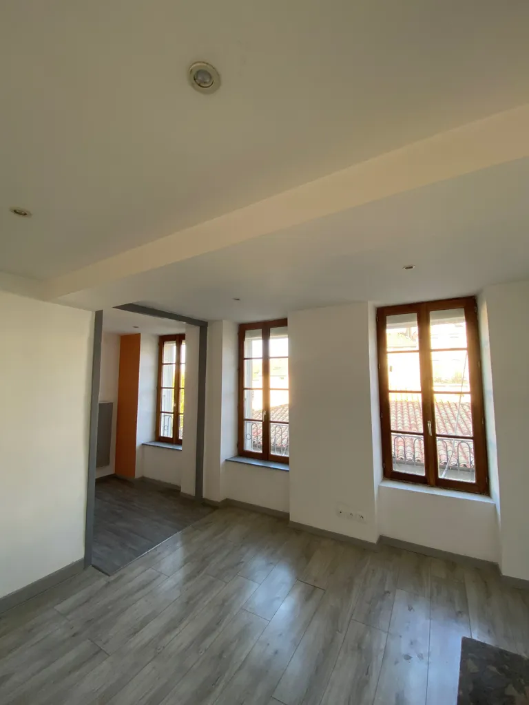 Séjour - Appartement Rénové de Type 3 au Centre de Castelnaudary