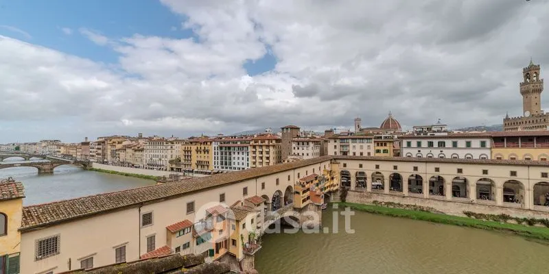 Toad - Panoramic Flat in Via de' Bardi, Florence