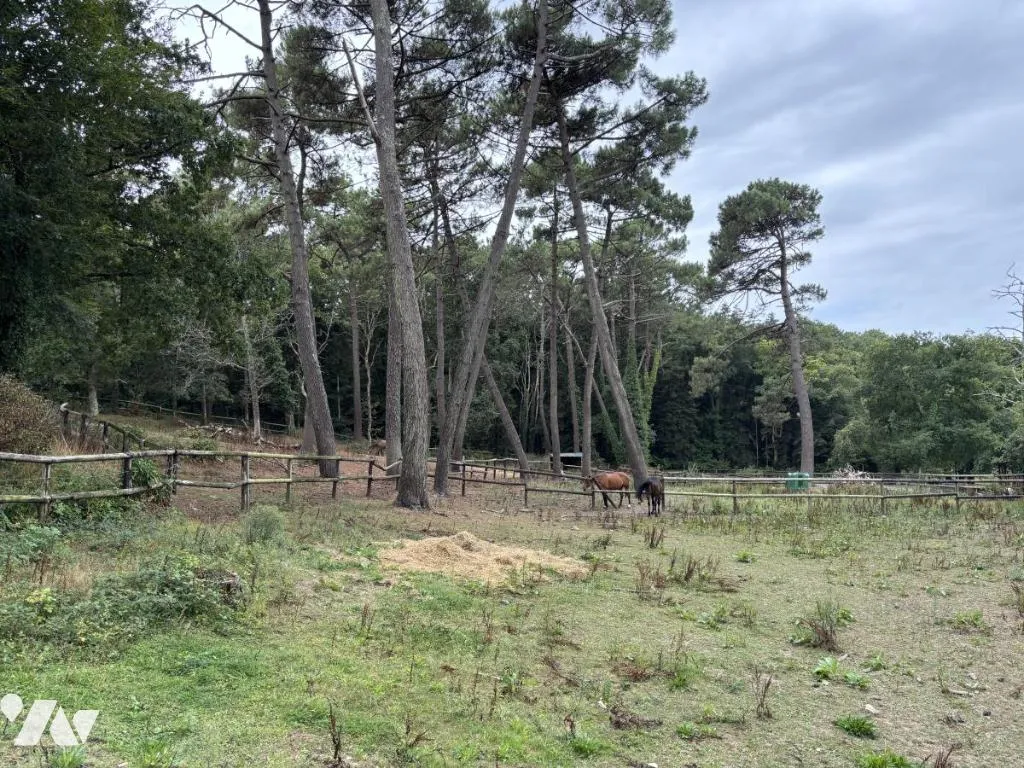 Giardino - Architectural House with Equestrian Facilities in Ploemeur