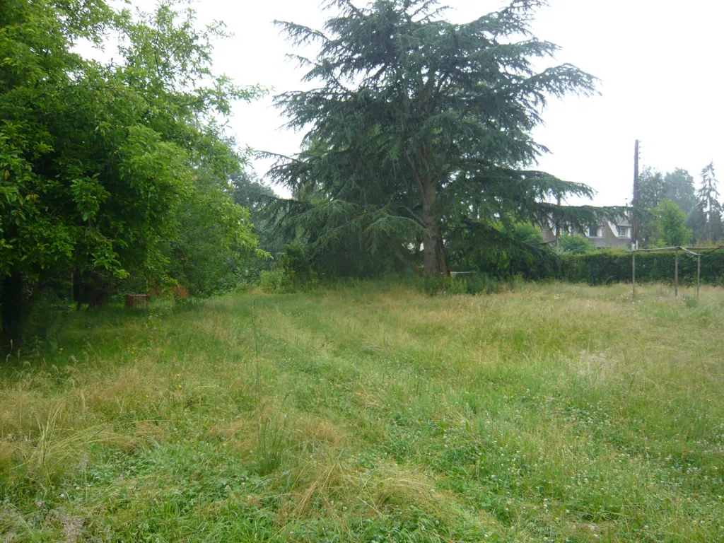 Jardin - Terrain Constructible au Calme à Perthes
