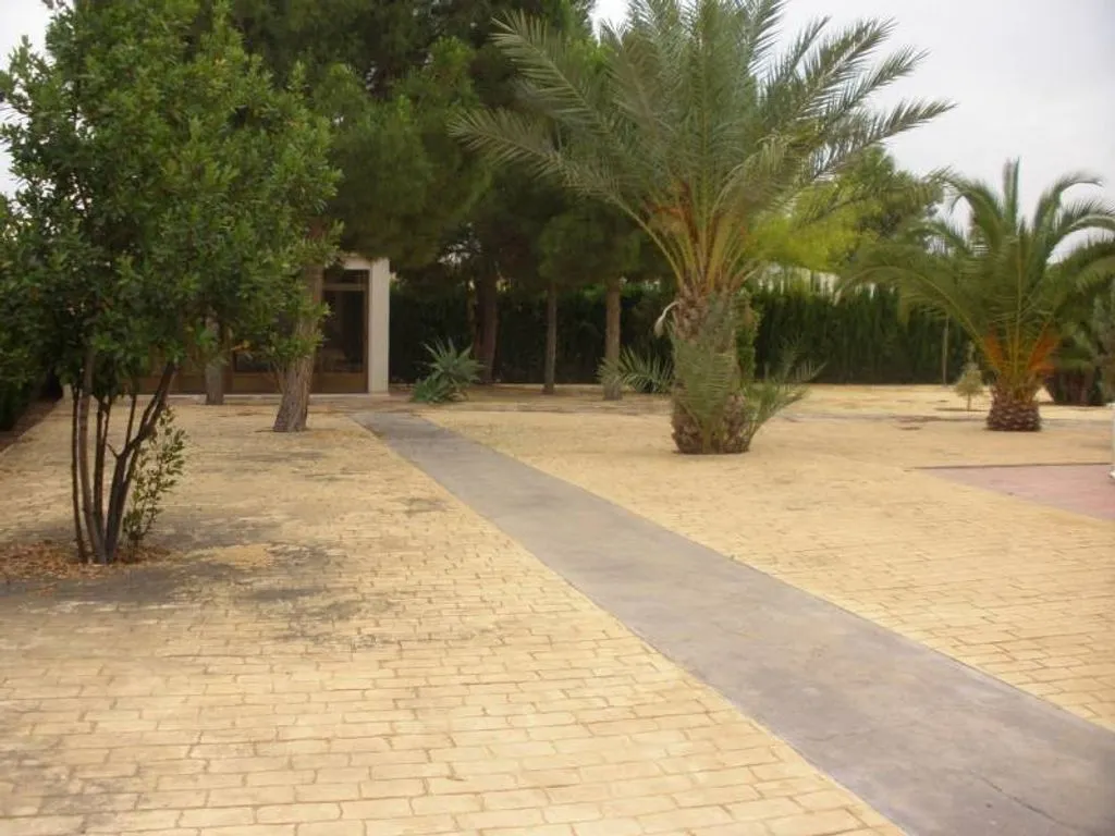 Extérieur - Luxury Villa with Pool in Elche