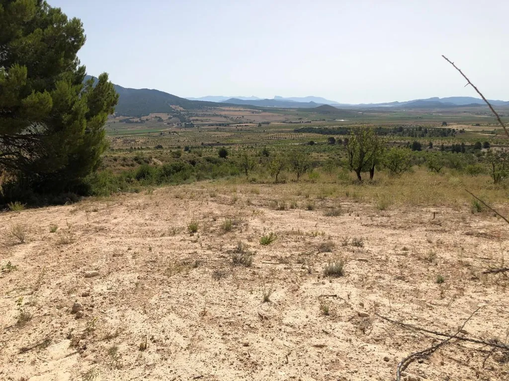 Jardin - Rural Plot with Orchard Views in Yecla