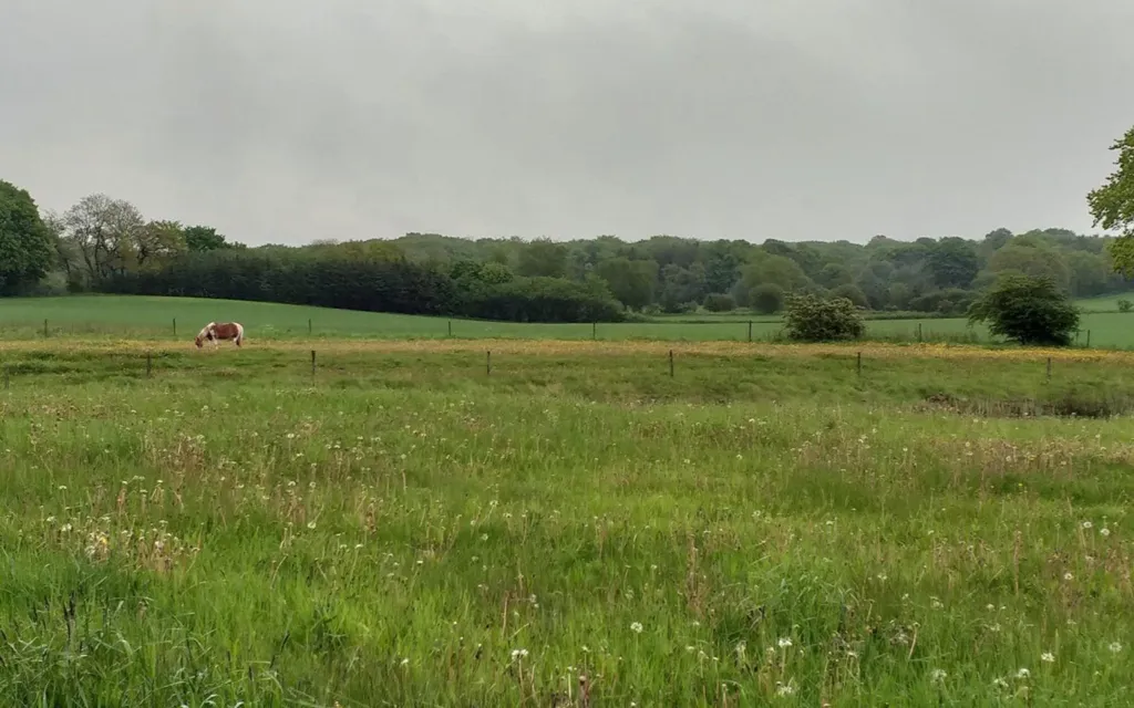 Aed - Year-Round Plot with 5G Coverage in Brædstrup