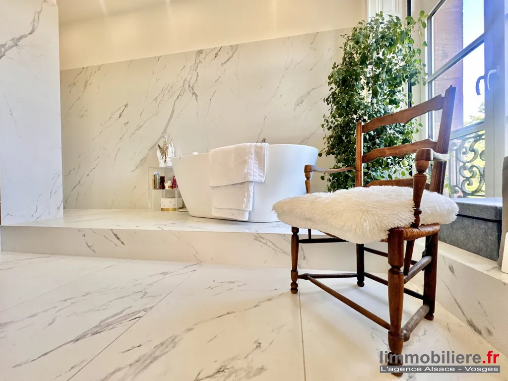 Bagni - Luxury Flat with Park Views in Saint-Dié-des-Vosges