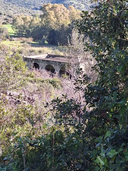 Aed - Historic Villa with Garden in Terridi, Bosa