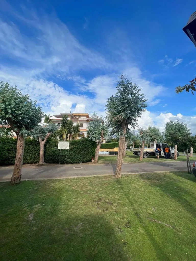 Aed - Apartment with Garden in Scalea