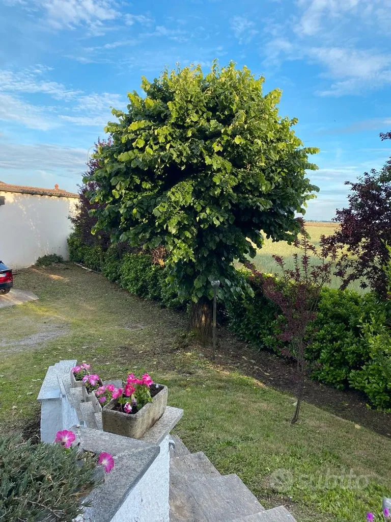 Jardin - Independent Villa with Garden in Sozzago