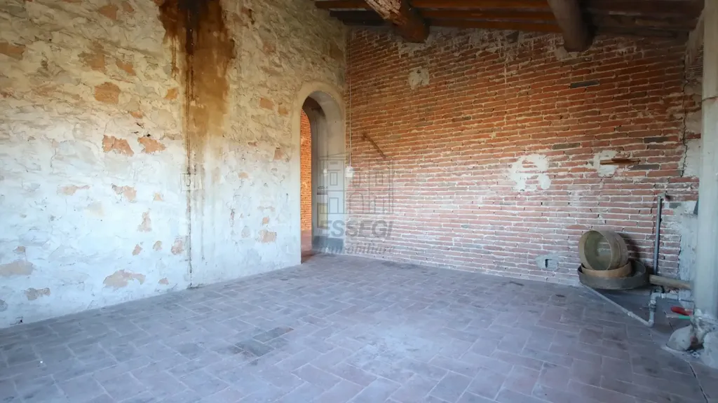 Toad - Early 20th Century Villa with Panoramic Views near Lucca