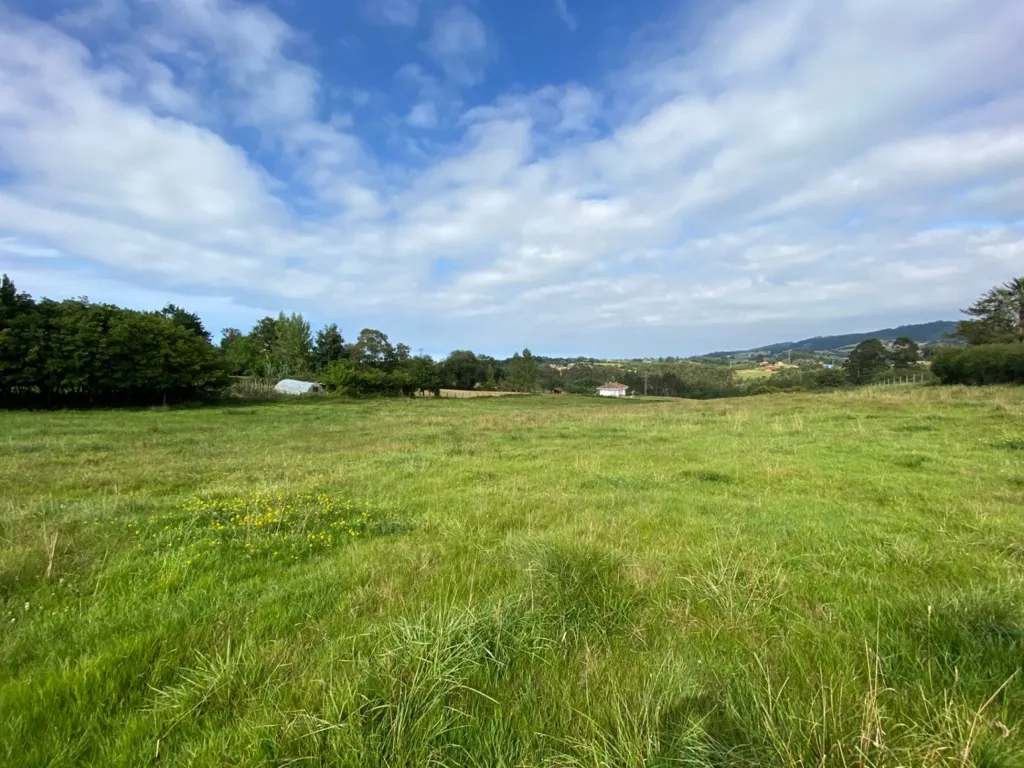 Aed - Plot with 360° Views near Gijón