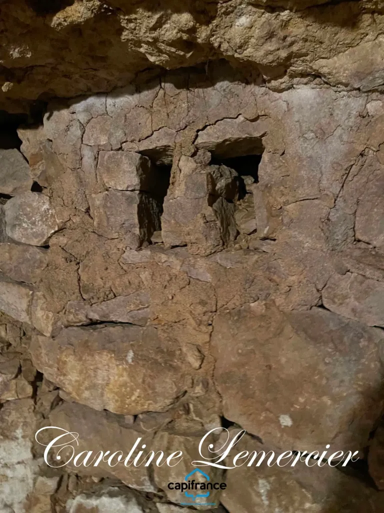 Rooms - Farmhouse with Caves near Connerre