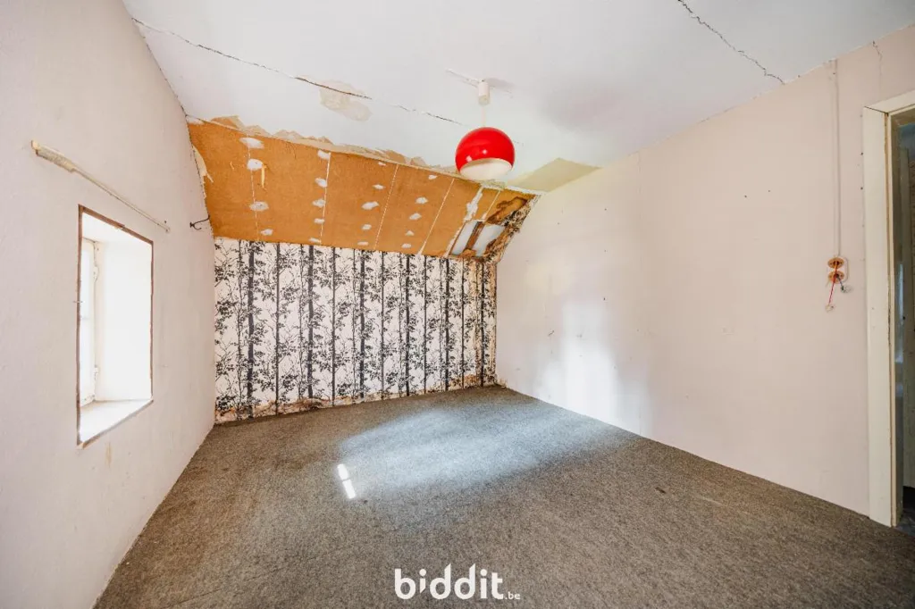 Toad - Renovable Building with Garden in Amblève